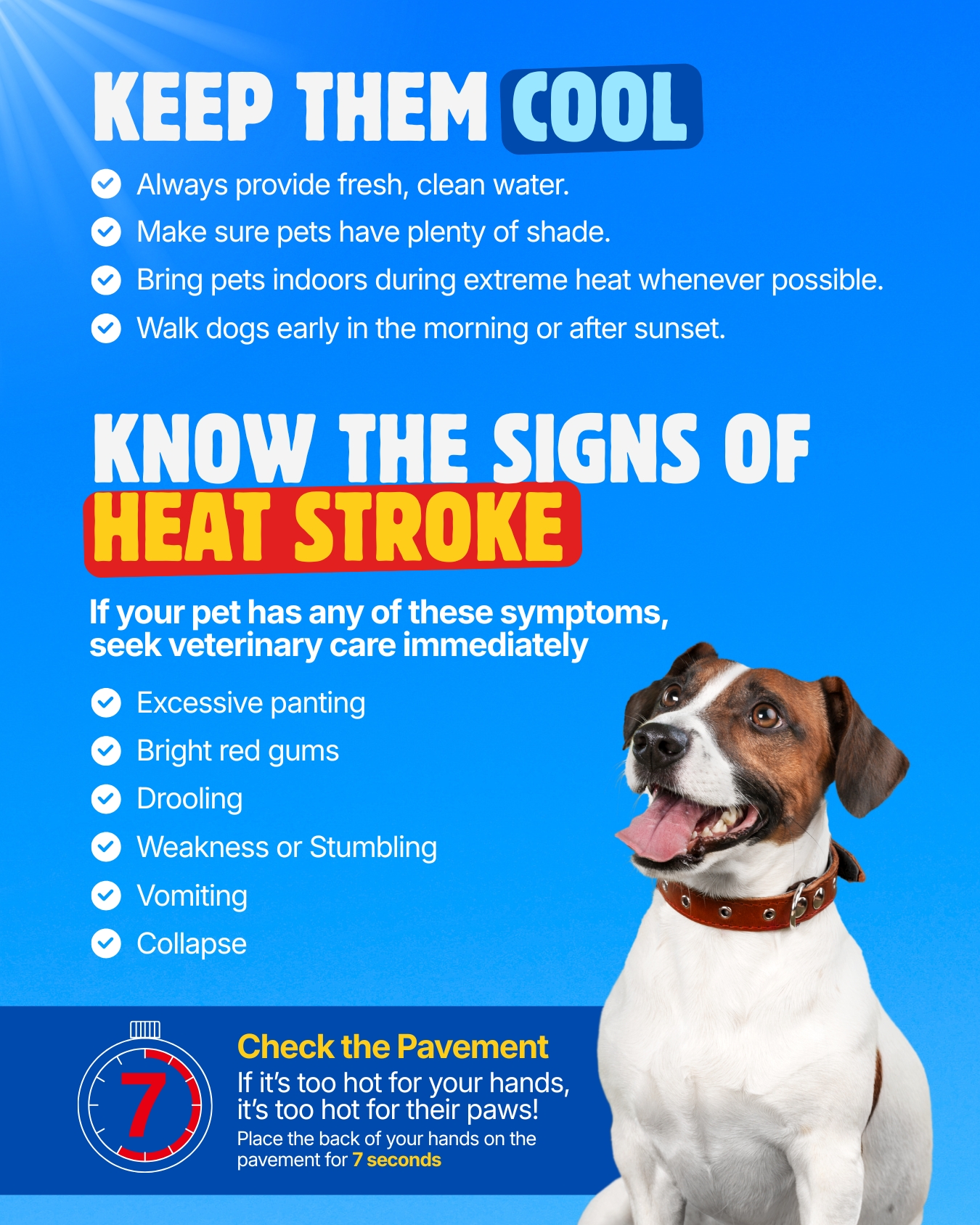 keep-pets-safe-2