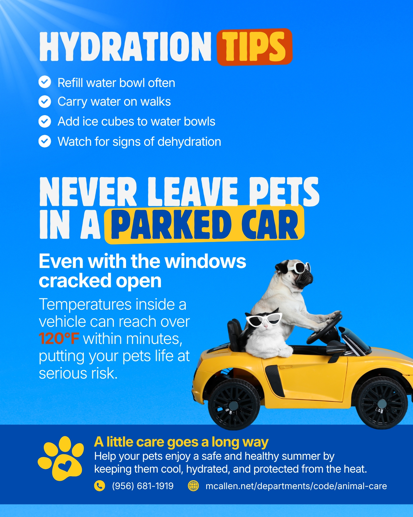 keep-pets-safe-3