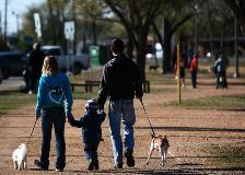 Family walking in the park