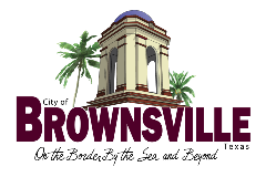 Platinum - City of Brownsville